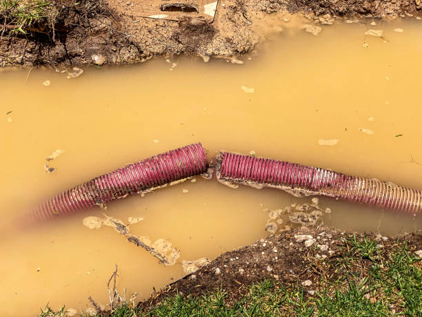Best Water damage contractors near me  in Coudersport, PA